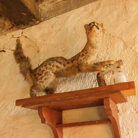 فندق Dreamy In Clermont Saint-Médard-dʼExcideuil